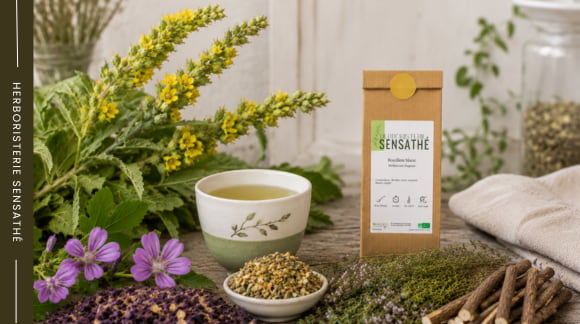 Tisane de bouillon-blanc avec molène, mauve, thym et réglisse pour apaiser la trachée et les voies respiratoires - Herboristerie Sensathé Tisane de bouillon-blanc avec molène, mauve, thym et réglisse pour apaiser la trachée et les voies respiratoires - Herboristerie Sensathé